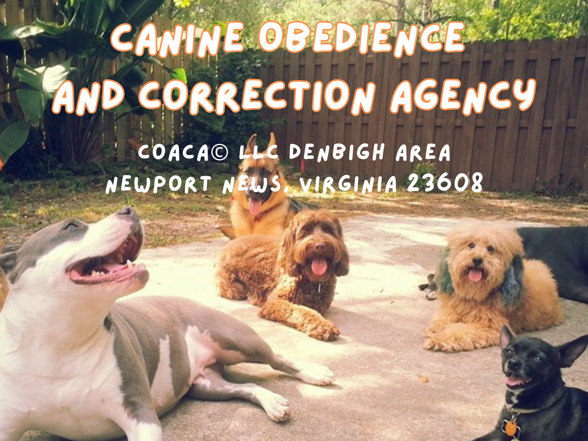 Canine Obedience and Correction Agency