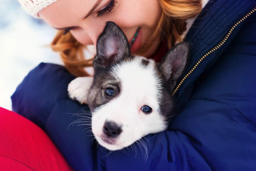 Guide to Responsible Dog Ownership: Nurturing a Lifelong Bond - Best  Friends Pet Care