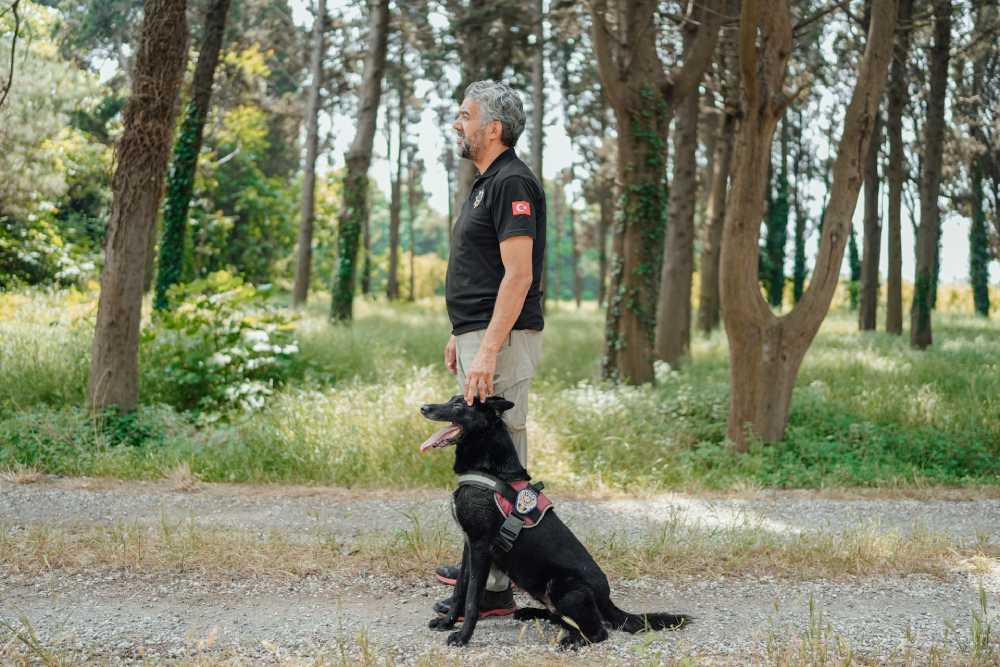 From Ruff to Refined: Transforming Your Dog’s Behavior Through Training