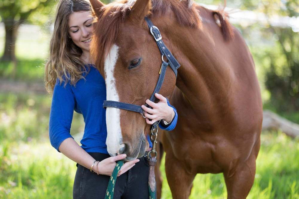 Everything You Need to Know About Being a Horse Owner