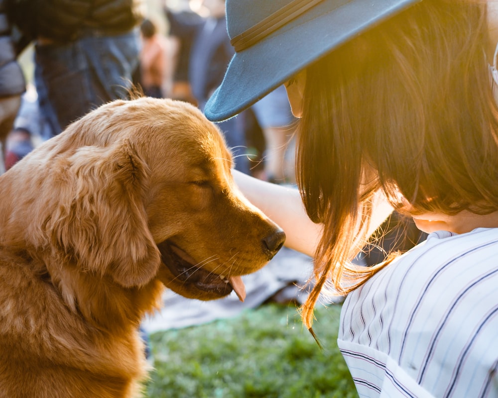 Tips for First-Time Dog Owners
