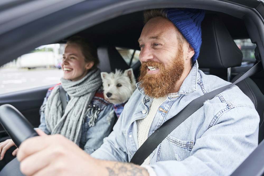 How Pets May Impact Your Focus Behind the Wheel