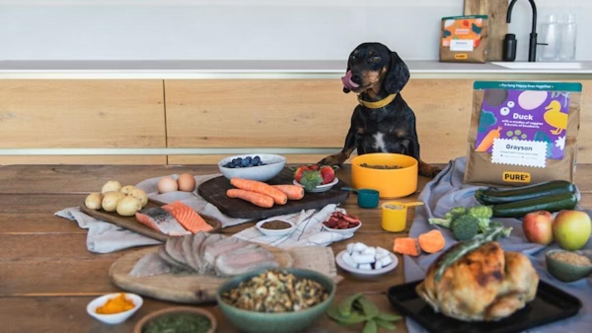 Novel Protein Inflammatory Bowel Disease Dog Food Reference: What To Feed A Dog With Inflammatory Bowel Disease