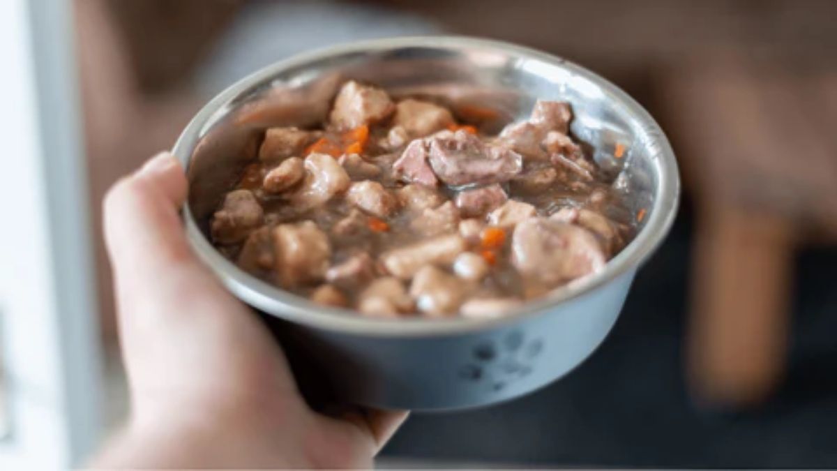 How Much Wet Food to Feed a Dog for Optimal Health