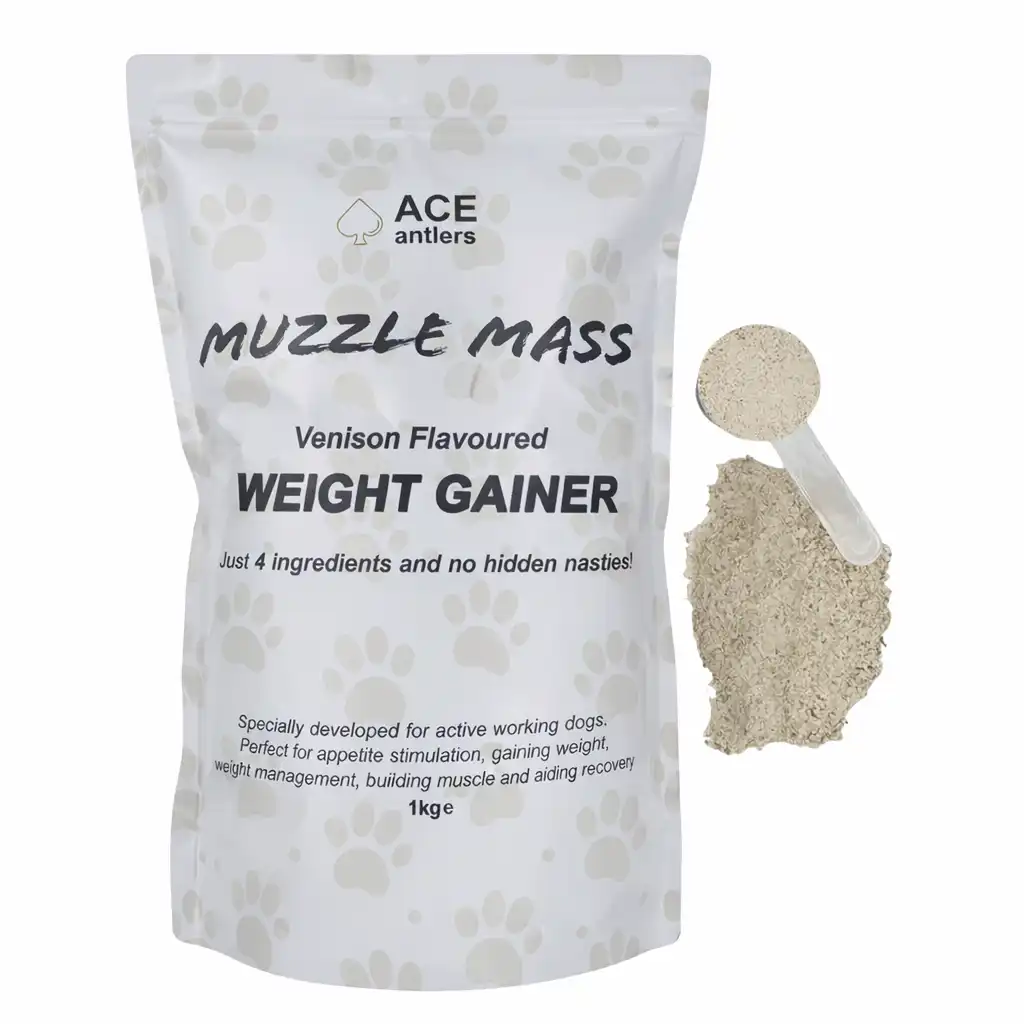  ace antlers weight gainer for dogs 